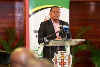 Minister of Agriculture, Fisheries and Mining, Hon. Floyd Green, addresses a media briefing at the Ministry’s Hope Gardens complex, recently.