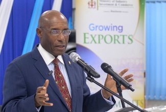 Minister of Industry, Investment and Commerce, Senator the Hon. Aubyn Hill, addresses a craft product assessors workshop, held at the Jamaica Business Development Corporation (JBDC) Incubator Resource Centre in St. Andrew today (September 26).