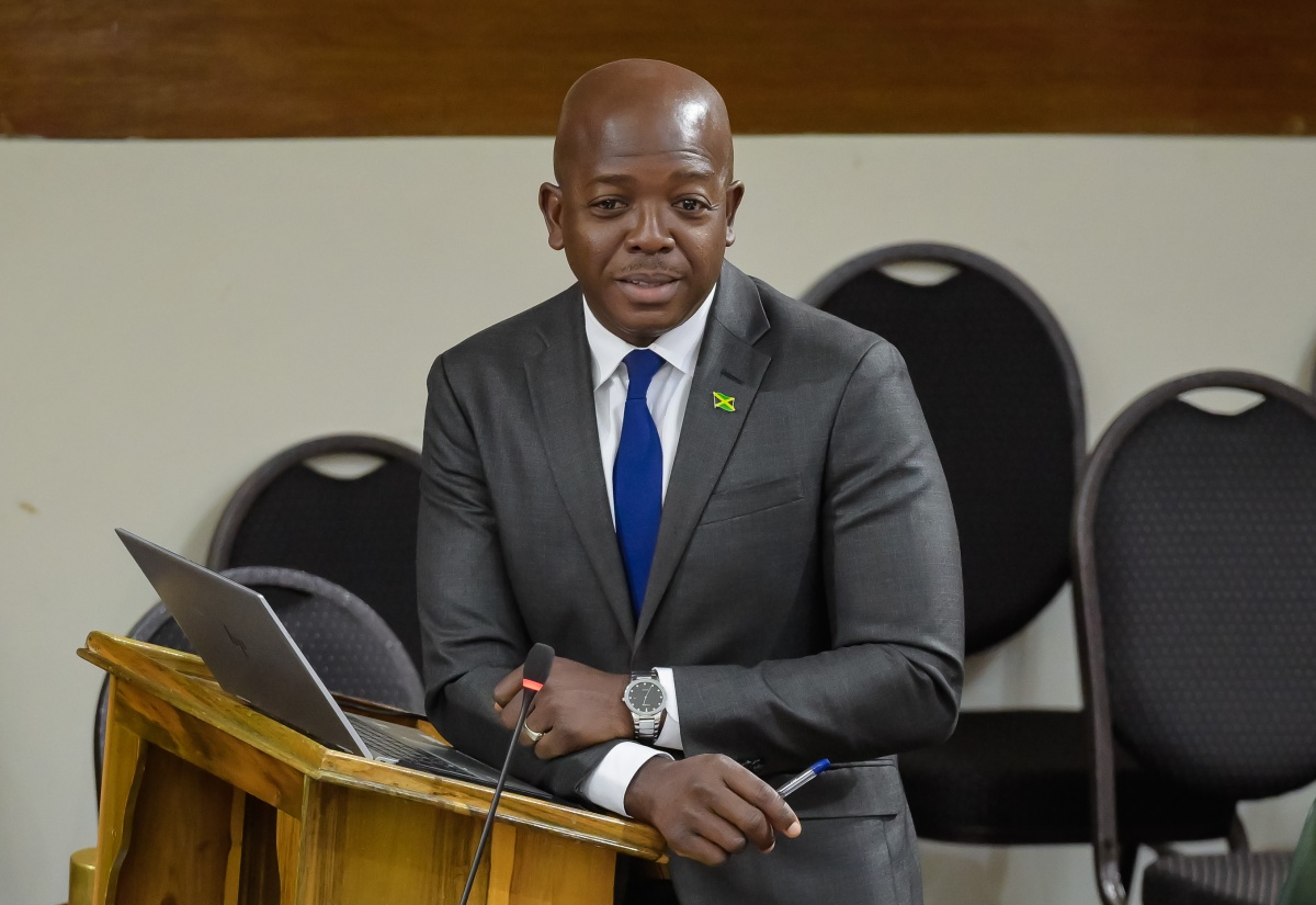 Minister of Labour and Social Security, Hon. Pearnel Charles Jr., makes a statement to the House of Representatives on Tuesday (September 17).