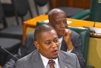 Minister of Agriculture, Fisheries and Mining, Hon. Floyd Green, provides an update on the ongoing Hurricane Beryl Recovery Programme, in the House of Representatives on Tuesday (September 24).