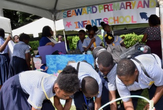 Students of the Seaward Primary and Infant School display their project, ‘Farm and Solar’, during the Scientific Research Council’s Annual Science Fair at Hope Zoo in Kingston on Thursday (September 26).