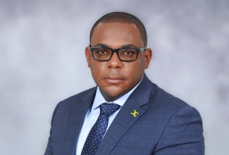 Senior Director, Business Services and Information and Communications Technology (ICT), National Land Agency (NLA), Christopher McPherson.

