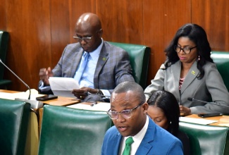 Member of Parliament, Westmoreland Western, Morland Wilson, makes his contribution to the 2024/25 Constituency Debate in the House of Representatives, recently.