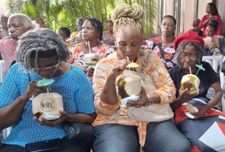 Grandmothers enjoy cold coconut water at the National Grandparents Day celebration held at The Verandah, Clarendon Park, on Sunday (September 29).

