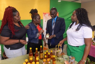 Permanent Secretary in the Ministry of Culture, Gender, Entertainment and Sport, Denzil Thorpe (second right), and Acting Director for Community Liaison, Bureau of Gender Affairs, Nardia McLaren (right) visit the Nature's Pastes and Purées, and HoneyLishus booth, at the Agricultural Display, Media Highlight and FarmHers Market on Tuesday (October 15) at the Ministry’s offices in New Kingston. The event was part of activities to observe International Day of Rural Women (IDRW) 2024. Providing details about the items on display is Owner of Nature's Pastes and Purées, Camille Stewart (second left), while Manager and Owner of HoneyLishus, Nadia Johnson, listens.

