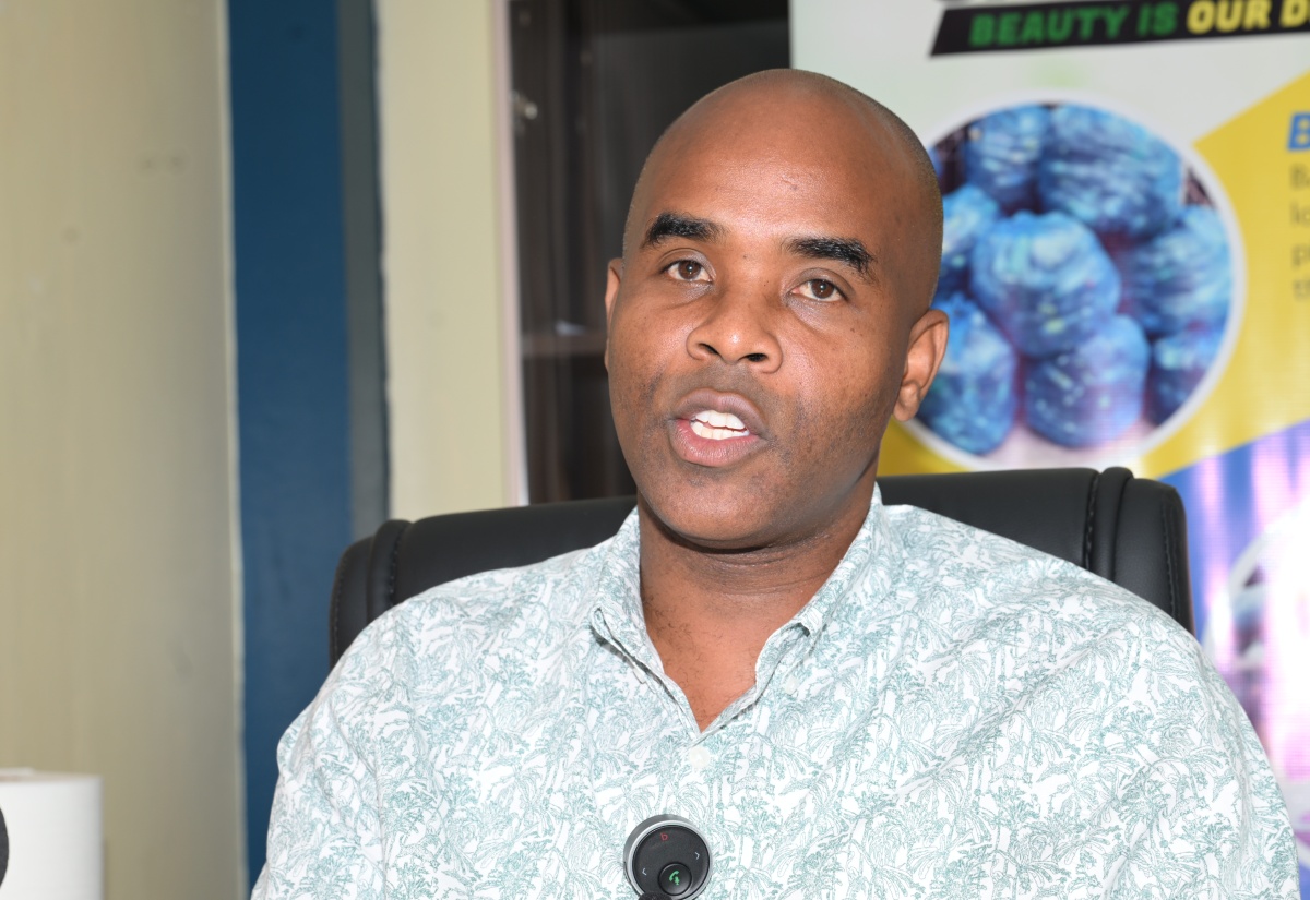 Garbage Backlog Significantly Reduced In St. James, Hanover, Westmoreland and Trelawny