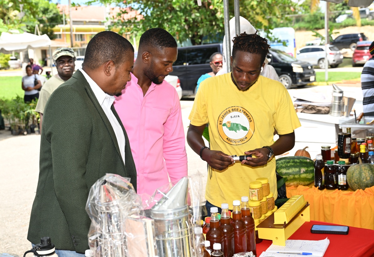 Economic Growth to Be Promoted Among Small Businesses in St. James