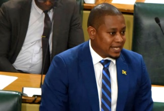 Minister of Agriculture, Fisheries and Mining, Hon. Floyd Green, makes a statement to the House of Representatives on Tuesday (October 22).

