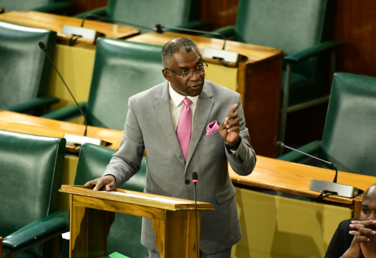 Government Senator, Kavan Gayle, makes his contribution to the 2024/25 State of the Nation Debate in the Senate recently. 