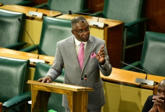 Government Senator, Kavan Gayle, makes his contribution to the 2024/25 State of the Nation Debate in the Senate recently.