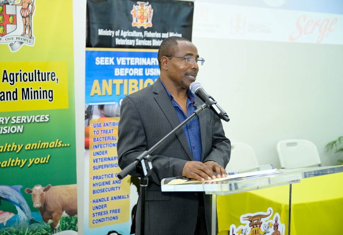 Minister Urges Greater Advocacy for Stronger Regulations on Antibiotics Use