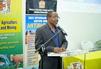 Chief Veterinary Officer in the Ministry of Agriculture, Fisheries and Mining’s Veterinary Services Division (VSD), Dr. Osbil Watson, addresses the VSD World Antimicrobial Awareness Week ceremony on Tuesday (November 19) at the University of the West Indies (UWI) Mona campus in St. Andrew. 

