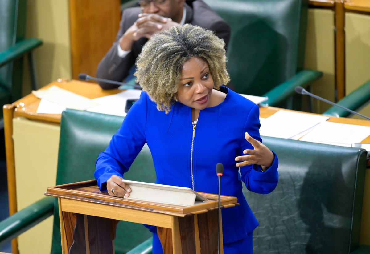 Gov’t Committed to Strengthening Jamaica’s Financial Framework