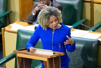 Minister of Education, Skills, Youth and Information, Senator Dr. the Hon. Dana Morris Dixon, emphasies a point during her contribution to the debate on the Financial Services Commission (Amendment) Act, 2024 in the Senate on November 1.