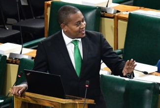 Minister of Agriculture, Fisheries and Mining, Hon. Floyd Green, delivers Statement in the House of Representatives on Tuesday (November 12).