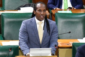 Minister of State in the Ministry of Foreign Affairs and Foreign Trade and Member of Parliament for St. Catherine East Central, Hon. Alando Terrelonge, makes his contribution to the 2024/25 State of the Constituency Debate in the House of Representatives on Tuesday (November 12).

