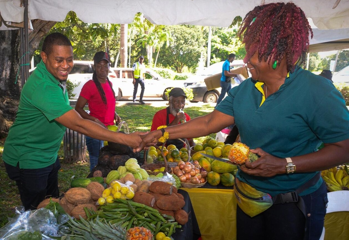 3000 Kits To Be Distributed Under Backyard Gardening Programme