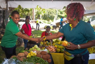 Minister of Agriculture, Fisheries and Mining, Hon. Floyd Green (left), greets St. Elizabeth farmer Joan Blake, during a tour of booths at the Eat Jamaican Day food festival on the lawns of Devon House in Kingston on Friday (Nov. 22).