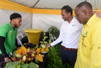 Executive Director of the Tourism Enhancement Fund (TEF), Dr. Carey Wallace (centre), admires the display of produce at a booth mounted by the Ministry of Agriculture, Fisheries and Mining’s Research and Development Unit,  at the ‘Eat Jamaican Day’ Food Festival on Friday (Nov. 22) at Devon House in Kingston. Manning the booth is Plant Breeding Officer, Rushane McDonald (left), while Jamaica Agricultural Society (JAS) President, Owen Dobson, looks on.