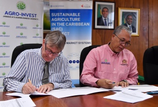 Chief Executive Officer, Agro-Investment Corporation (AIC), Vivion Scully (right), and Project Director, Sustainable Agriculture in the Caribbean (SAC) Project, World University Service of Canada, Doug Graham, sign a Memorandum of Understanding (MoU) for the establishment of a sweet potato planting nursery and to conduct research aimed at strengthening the island’s root crop production, at the AIC in Kingston on Tuesday (November 19).


