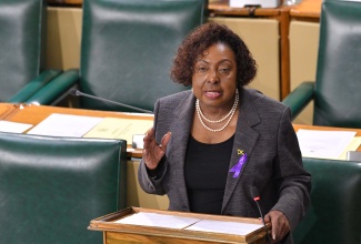 Minister of Culture, Gender, Entertainment and Sport, Hon. Olivia Grange, makes a Statement in the House of Representatives on November 26.

