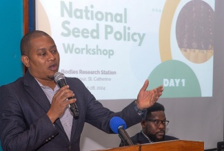 Minister of Agriculture, Fisheries and Mining, Hon. Floyd Green, addresses the opening of a two-day National Seed Policy workshop on Wednesday (November 27), at the Bodles Research Station in Old Harbour, St. Catherine. Listening is Acting Senior Director at the Ministry, Shane Cunningham.

