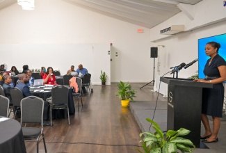 Minister of Legal and Constitutional Affairs, Hon. Marlene Malahoo Forte, addresses Friday’s (November 15) legislative policy development workshop at the S Hotel in New Kingston. The event exposed Policy Officers, Legal Officers, and Chief Technical Directors/Principal Directors/Senior Directors in all Ministries to best practices and guidelines regarding the preparation of legislative policy and drafting instructions, and the role of the Ministry’s Legal Reform Department in the policy development process.  