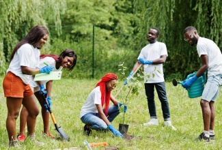 48.	Happy young people planting trees.

