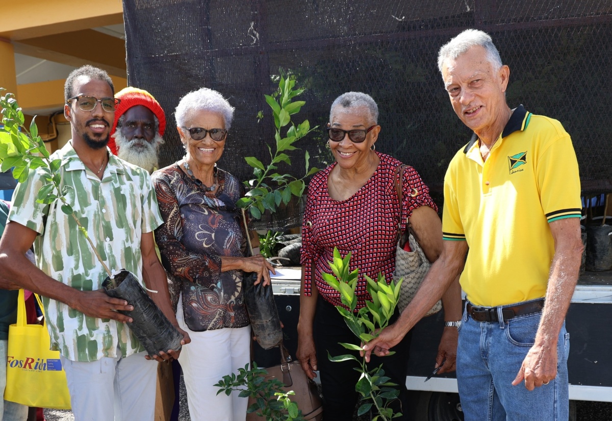 Distribution of Citrus Seedlings Continues in Manchester