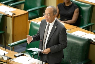 Deputy Prime Minister and Minister of National Security, Hon. Dr. Horace Chang, addresses the House of Representatives, on Tuesday (December 3).

