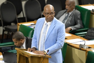 Member of Parliament for St. Elizabeth North Eastern, Delroy Slowley, makes his contribution to the State of the Constituency Debate in the House of Representatives on December 3.