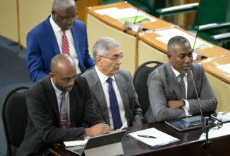 Deputy Governor of the Bank of Jamaica (BOJ) with responsibility for the Financial Institutions Supervisory Division, Dr. Jide Lewis (right), addresses the Standing Finance Committee on Tuesday (December 10) at Gordon House. Looking on are (from left) Senior Deputy Governor, BOJ, Wayne Robinson and Governor, Richard Byles.