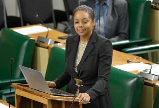 Minister of Legal and Constitutional Affairs, Hon. Marlene Malahoo Forte, addresses the House of Representatives on Tuesday (December 10).