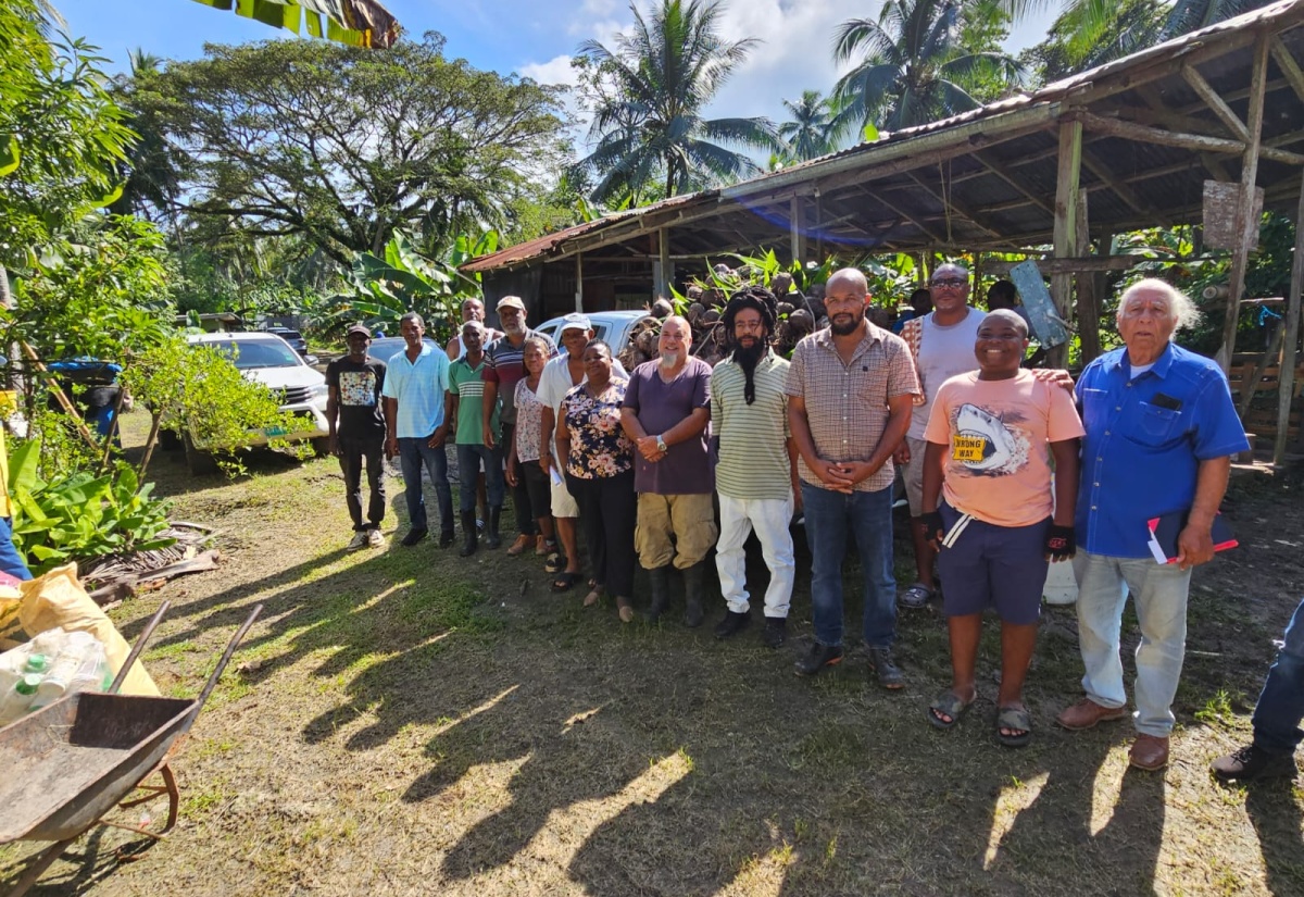 Brightens Christmas for Coconut Farmers in St. Mary And St. Thomas