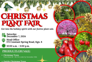 Official flyer for the Forestry Department’s Christmas Plant Fair, which will be held on Saturday, December 7. 