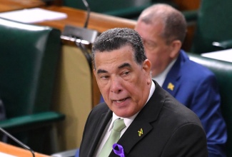 Minister of State in the Office of the Prime Minister (West) and Member of Parliament (MP), Hon. Homer Davis, during his contribution to the 2024/25 Constituency Debate in the House of Representatives.

