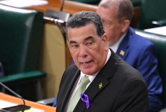 Minister of State in the Office of the Prime Minister (West) and Member of Parliament for St. James Southern, Hon. Homer Davis, making his contribution to the 2024/25 Constituency Debate in the House of Representatives recently.