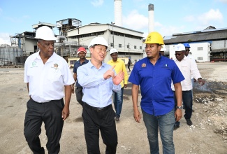 Minister of Agriculture, Fisheries and Mining, Hon. Floyd Green (right), and State Minister in the Ministry, Hon. Franklin Witter (left), listen to a point from Pan Caribbean