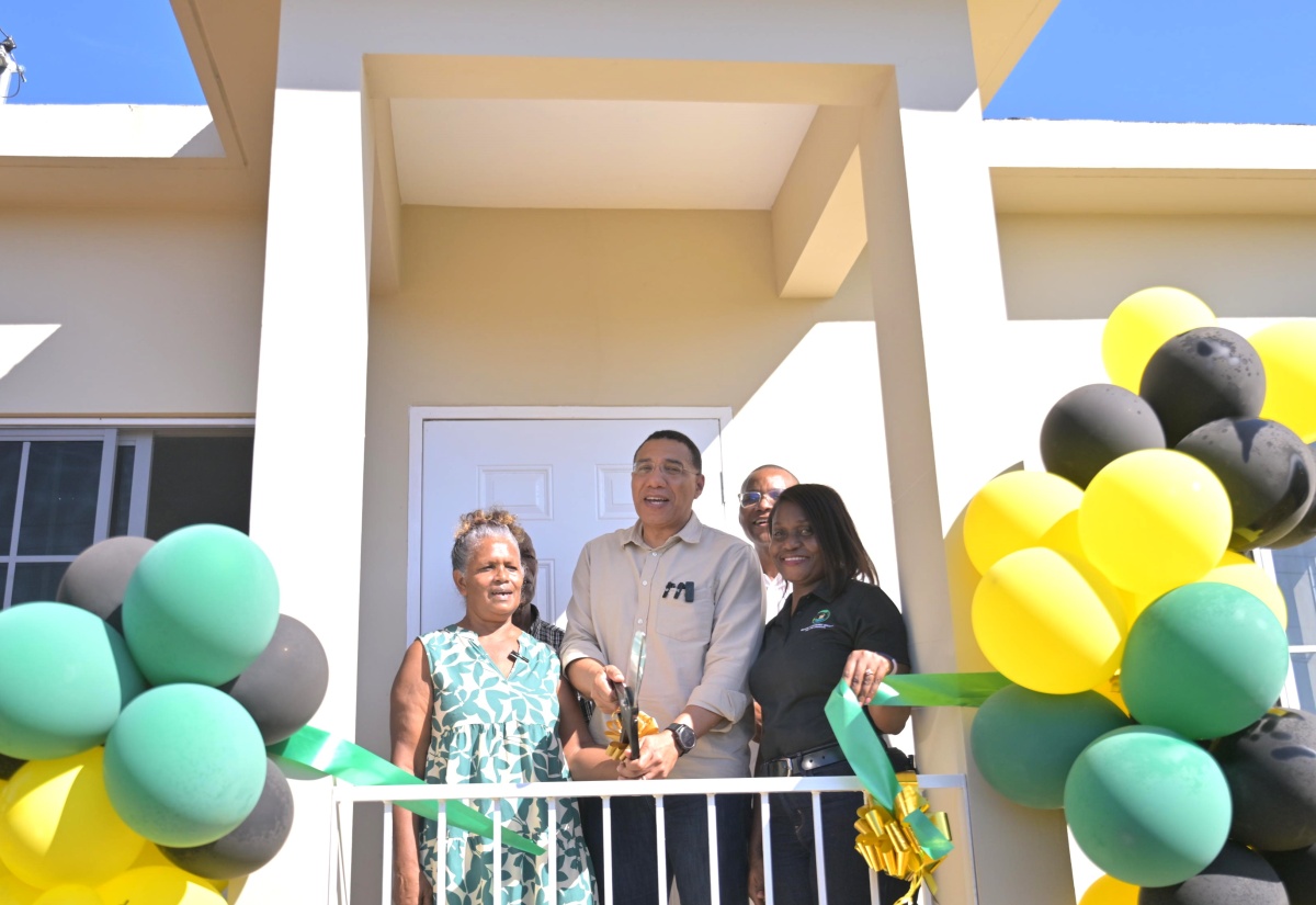 From Termite-Infested House to Brand-New Home