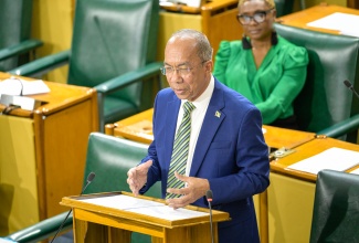 Minister of National Security, Hon. Dr. Horace Chang, speaks in the House of Representatives on Tuesday (January 14).

