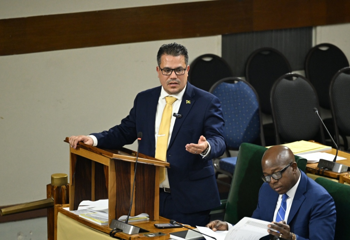 Jamaica Appoints Special Envoy for Climate Change, Environment, Ocean, And Blue Economy