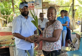 Chief Executive Officer of the Coconut Industry Board (CIB), Shaun Cameron (left), presents input supplies to St. Mary coconut farmer Hermine Campbell, recently, to support Hurricane Beryl recovery efforts. 

