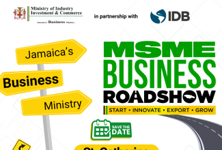 The Ministry of Industry, Investment and Commerce (MSME) Business Roadshow flyer.

