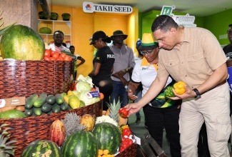 Prime Minister, Dr. the Most Hon. Andrew Holness, looks at produce on display at the Denbigh Agricultural and Industrial Show in May Pen, Clarendon. The Prime Minister has announced initiatives to boost agricultural production in 2025.