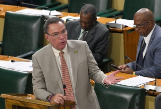 Minister of Science, Energy, Telecommunications and Transport, Hon. Daryl Vaz, speaks in the House of Representatives, on January 28.

