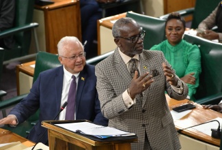 Minister of Local Government and Community Development, Hon. Desmond McKenzie.


