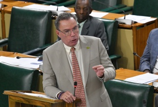 Minister of Science, Energy, Telecommunications and Transport, Hon. Daryl Vaz, speaks in the House of Representatives on Tuesday (January 28).


