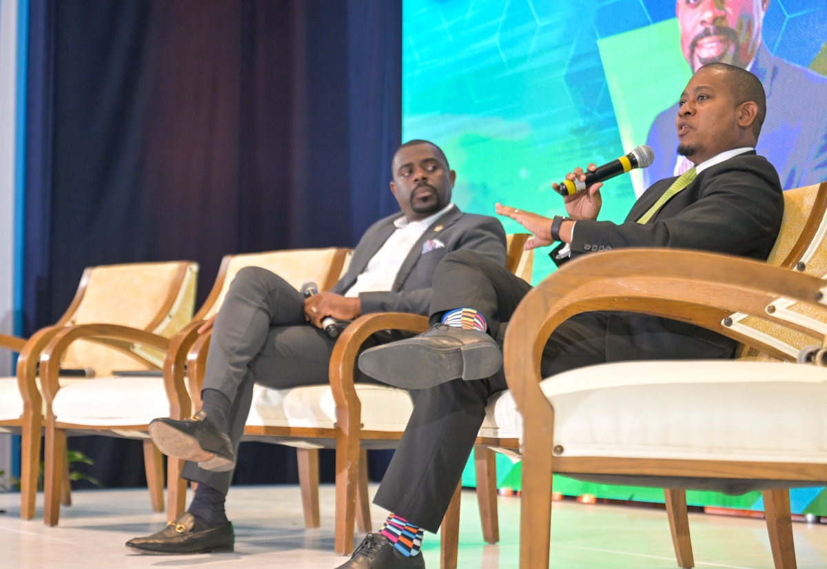 Gov’t Rolling Out Citrus Revitalisation Programme