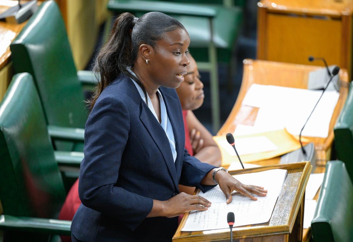 Senator Calls for Amendment of Adoption Legislation