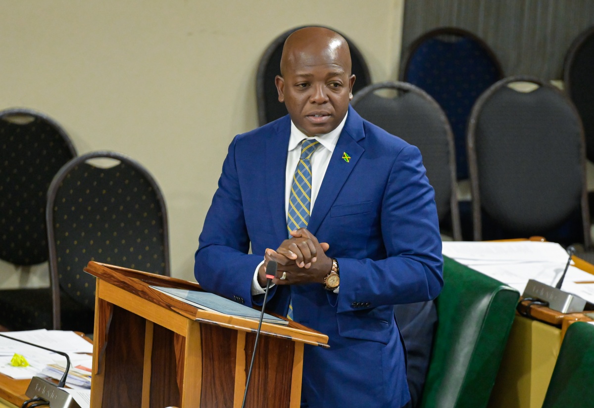 Significant Progress Made Since Implementation of Disabilities Act